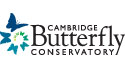 Cambridge Butterfly Conservatory